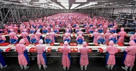chinese-chicken-factory